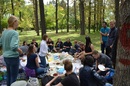 Picknick im Wald